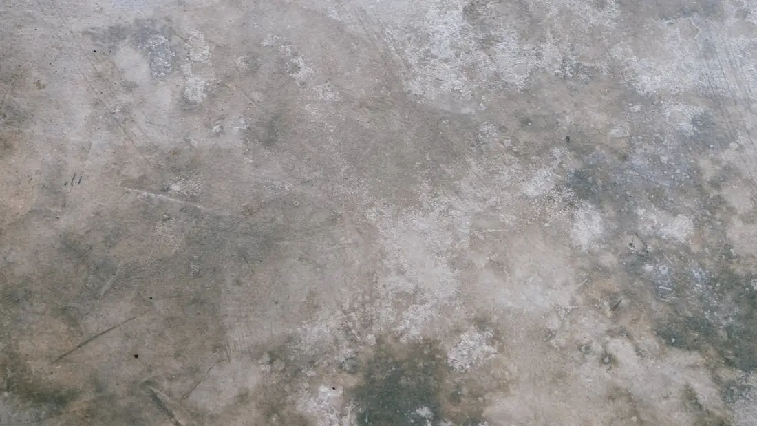 A polished concrete floor finish alongside a honed outdoor surface