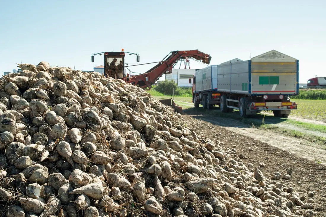 Crushed concrete aggregate ready for reuse at a demolition site